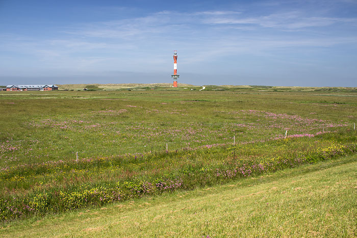 Westinnengroden im Fr&uuml;hsommer