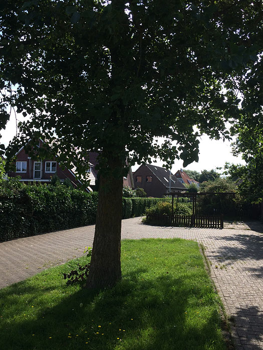 Wendekreis im Damenpfad