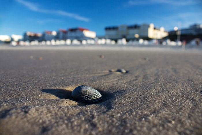 Muschelschale im Hauptbadefeld