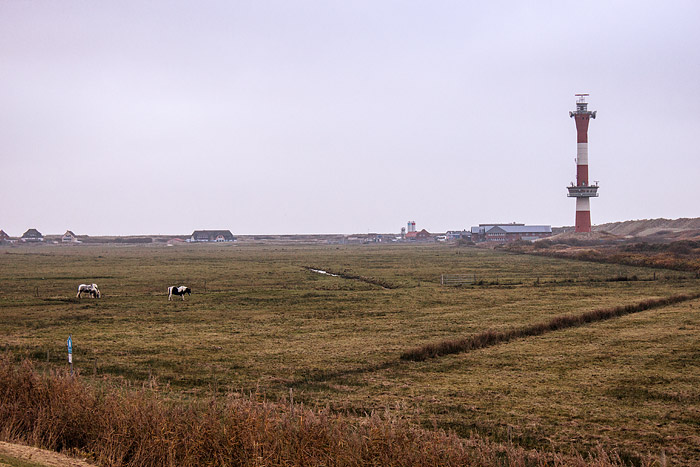 Weiden im Westinnengroden