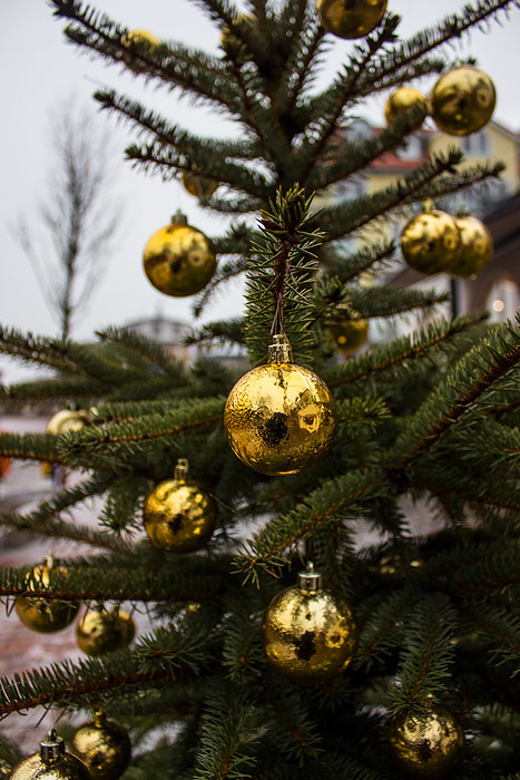 Weihnachtsbaum in der Zedeliusstra&szlig;e
