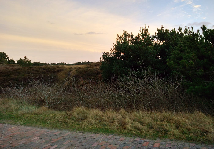 D&uuml;nen am Fu&szlig;weg zum Westen