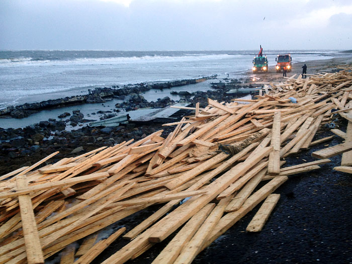Angetriebenes Holz am Deckwerk
