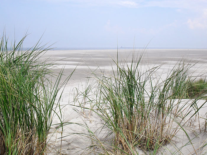 Oststrand und -d&uuml;nen