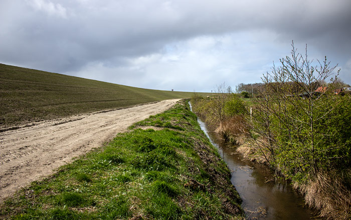 K&uuml;rzlich erh&ouml;hter Dorfgrodendeich