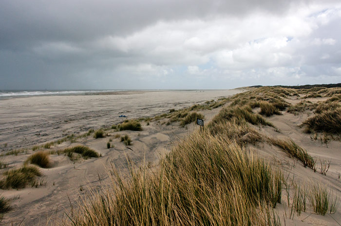 Oststrand und -d&uuml;nen