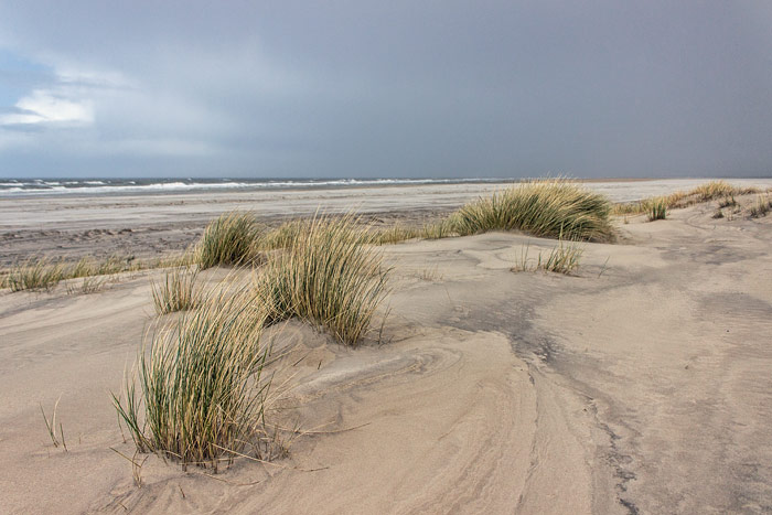 Vord&uuml;nen im Osten
