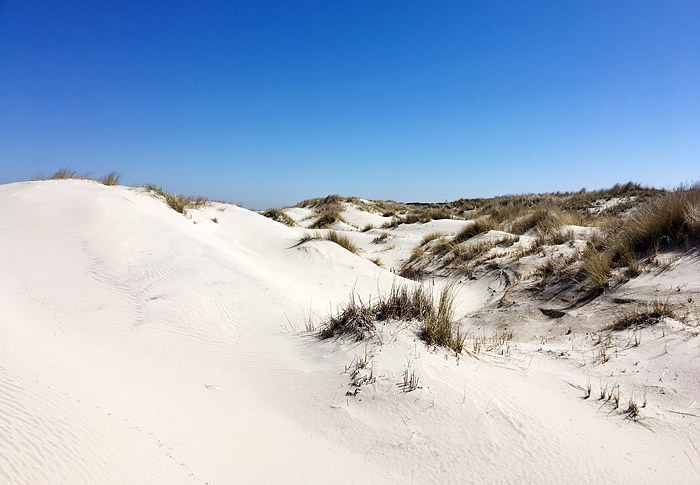 Vord&uuml;nen im Osten