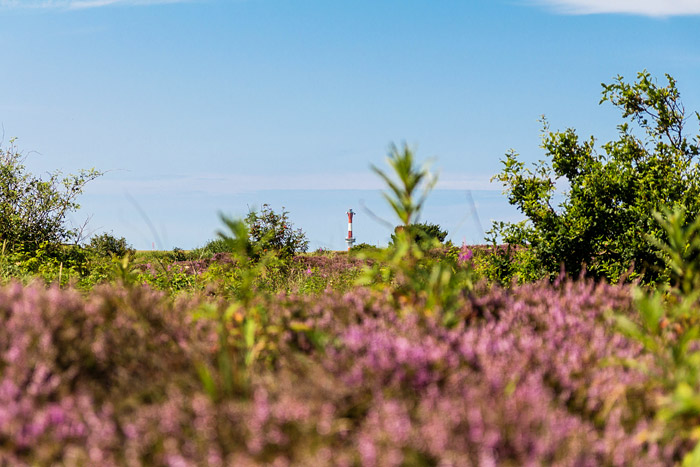 Blick aus den Heided&uuml;nen nach Westen