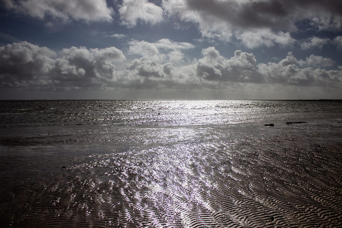 Wattenmeer im Gegenlicht