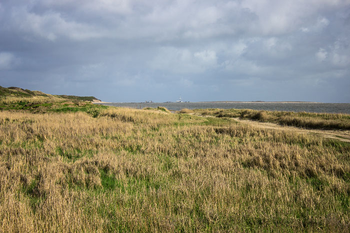 Blick nach Minsener Oog