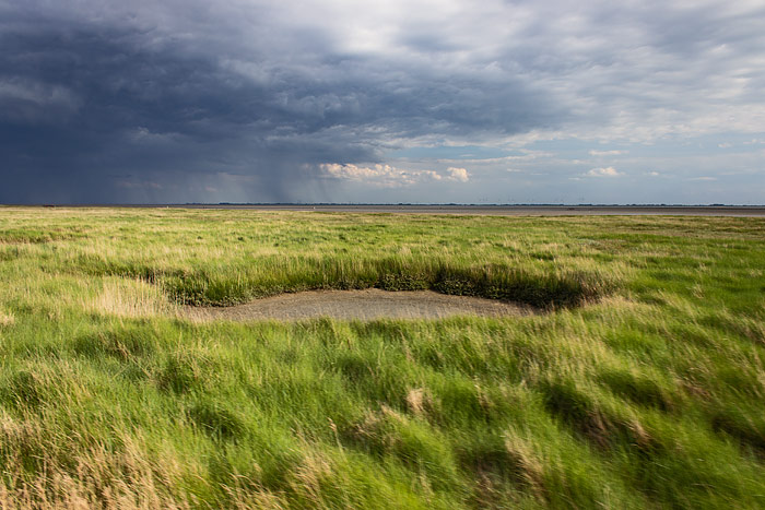 Bombentrichter im Deichvorland