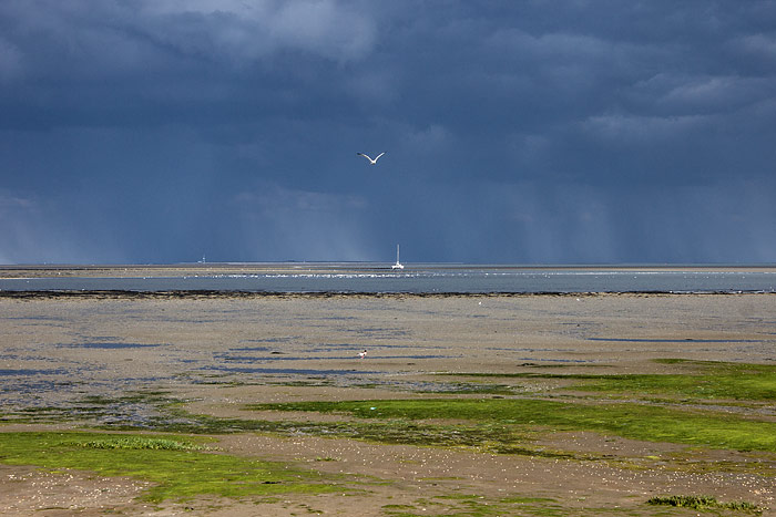 Watt bei Niedrigwasser