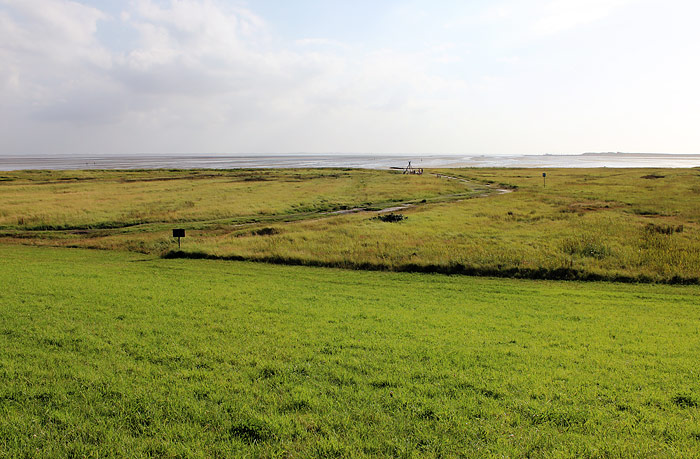 Süderheller mit Georgspad