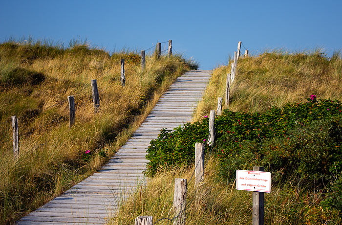 D&uuml;nen&uuml;berwegung im Osten