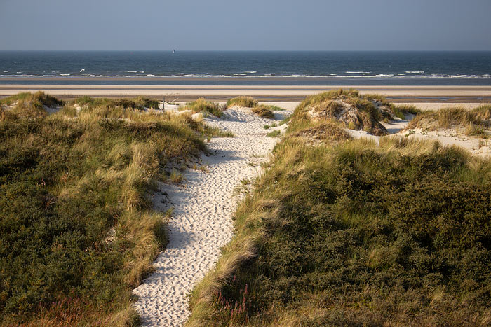 D&uuml;nen&uuml;berwegung