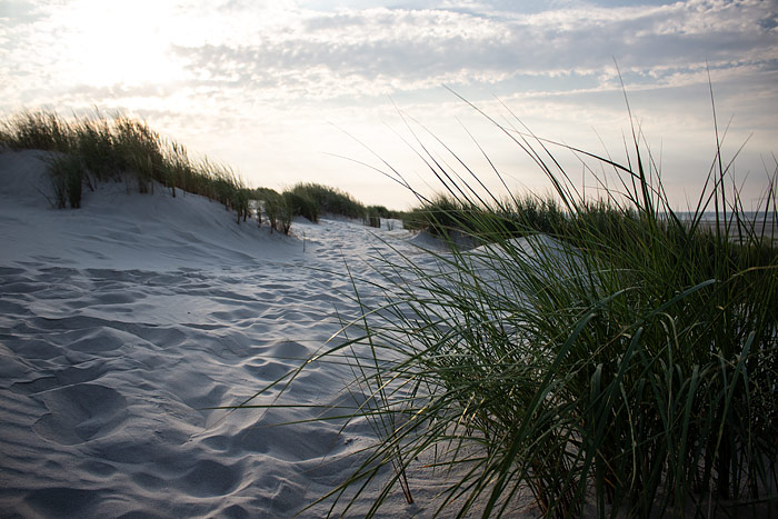 D&uuml;nen im Gegenlicht
