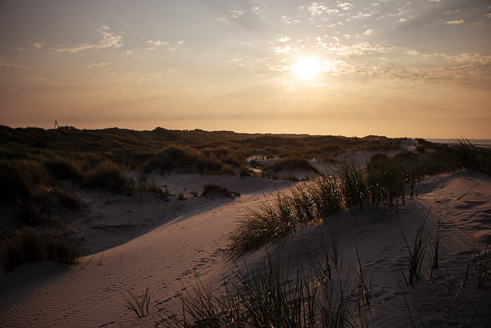 Ostd&uuml;nen im Gegenlicht