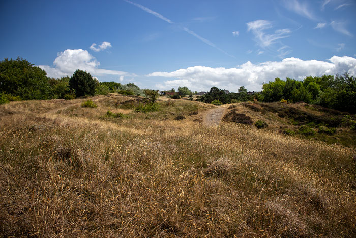 Osterdünen während des Dürresommers