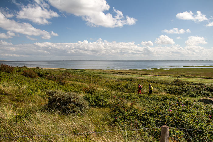 Wattenmeer aus den Ostd&uuml;nen gesehen