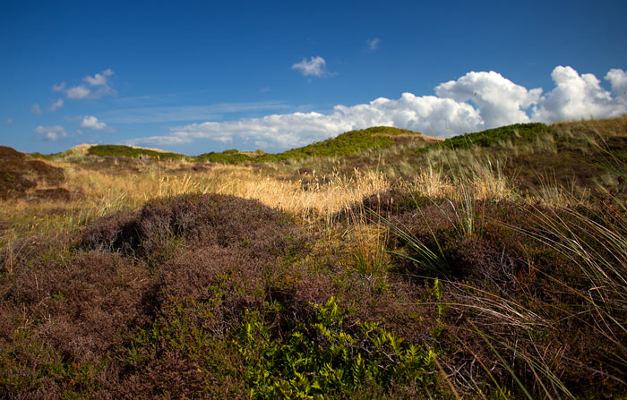 Heided&uuml;nen im Westteil der Insel
