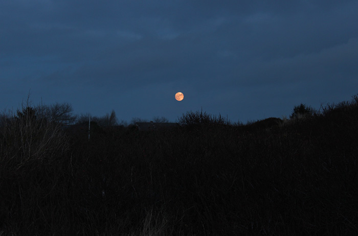 Vollmond &uuml;ber dem Dorf
