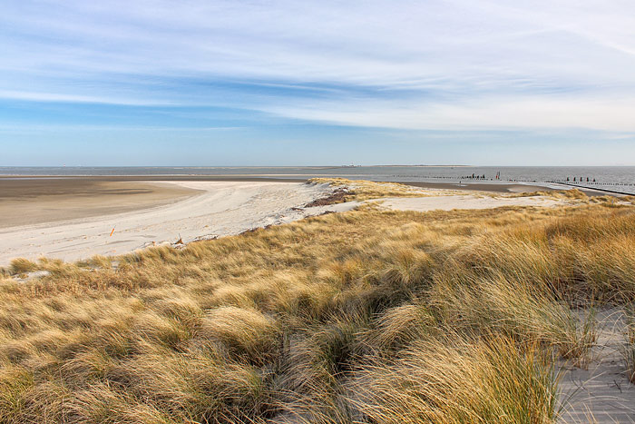 D&uuml;nen am Ostende