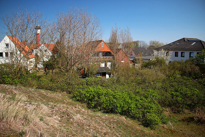 S&uuml;d&ouml;stliche Ecke der Osterd&uuml;nen