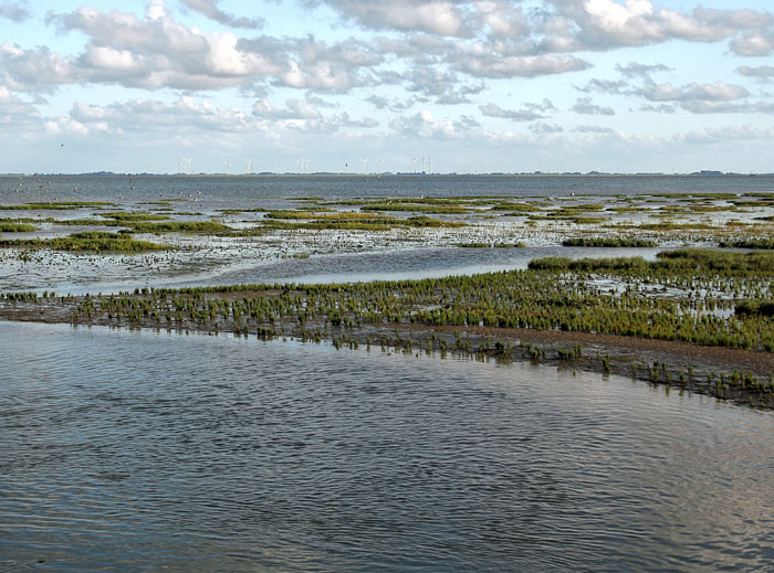 Aalkuhlen und Wattenmeer