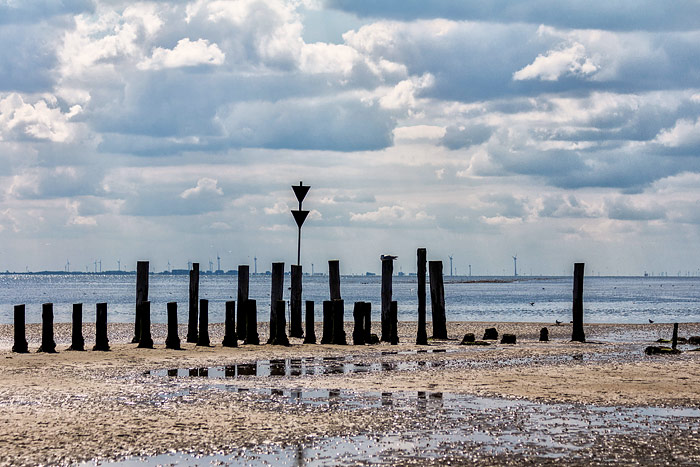Pf&auml;hle im Osten der Insel