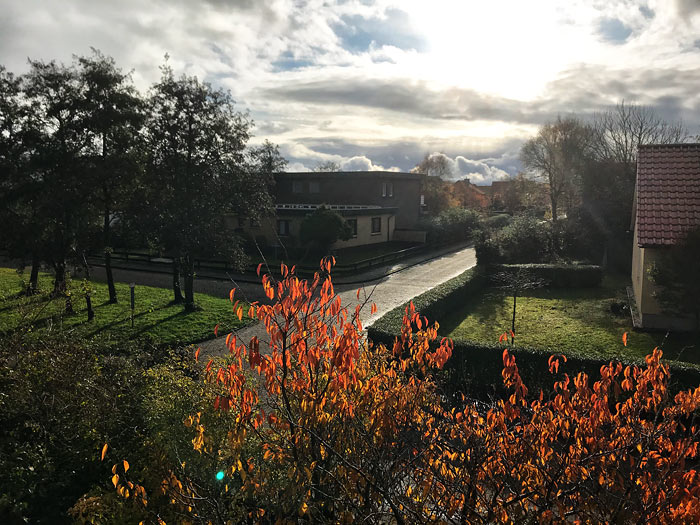 Herbst im Dorfgroden