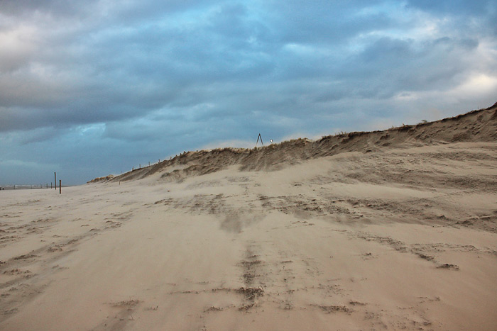 D&uuml;nen bei Neudeich