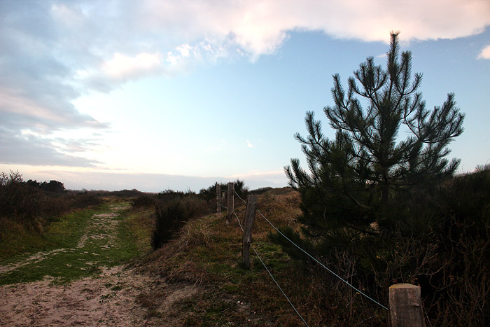D&uuml;nenweg durch die Nordostd&uuml;nen