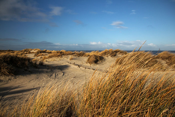 Wei&szlig;d&uuml;nen im Osten