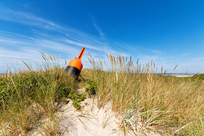 Spierentonne in den D&uuml;nen