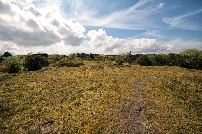Osterd&uuml;nen im Fr&uuml;hsommer