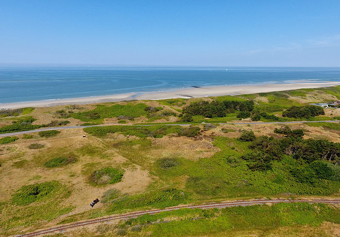 Pferdeweiden westlich der Saline