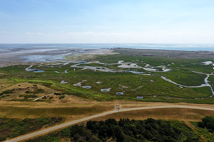 Lagune im Westau&szlig;engroden