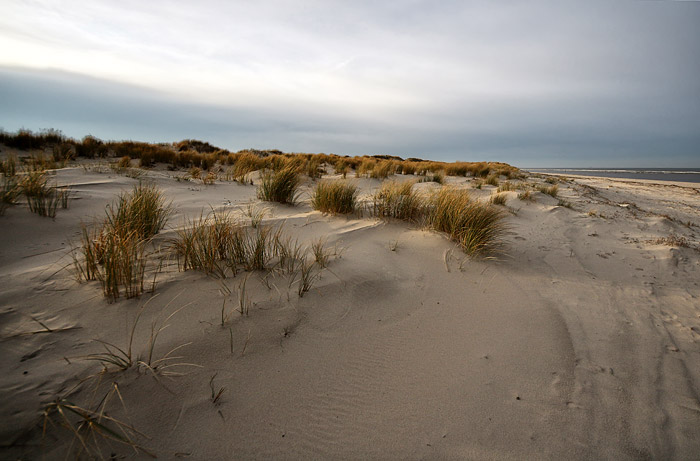 Vord&uuml;nen im Osten