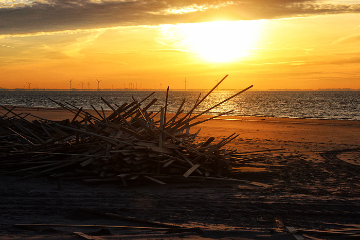 Bauholz im Gegenlicht