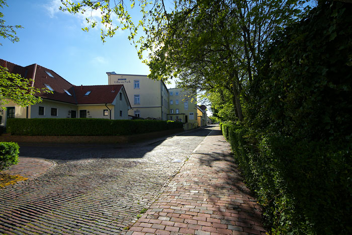 Friedrich-August-Stra&szlig;e im Mai