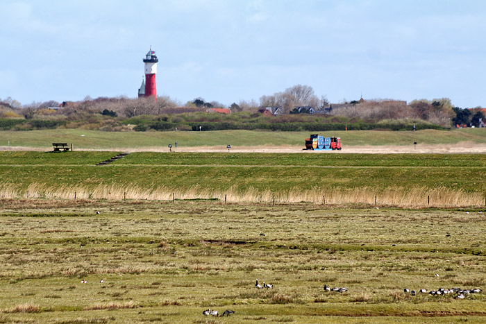 Blick in Richtung S&uuml;ddeich und Dorf