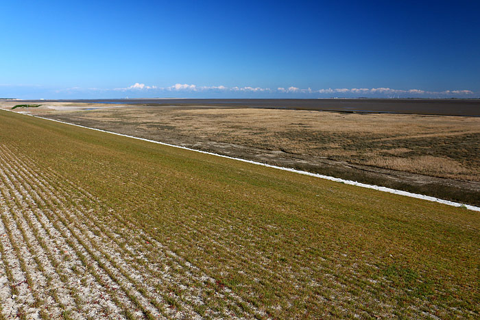 Blick aufs Deichvorland