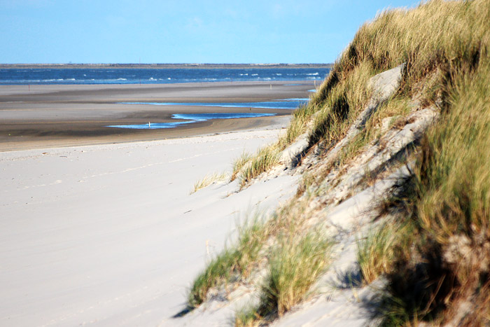 Ostdünen und -strand