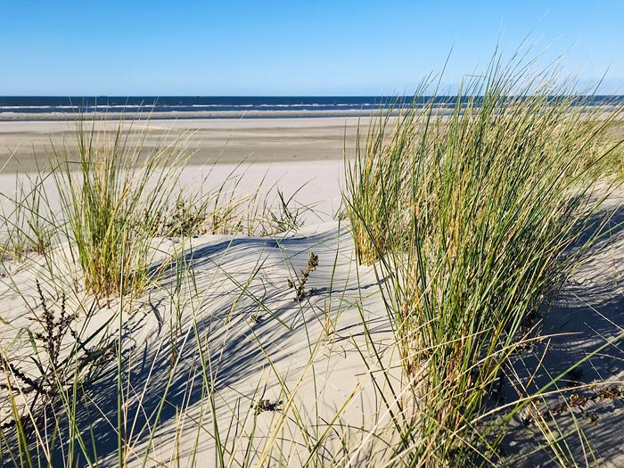 Vord&uuml;nen des Inselostens