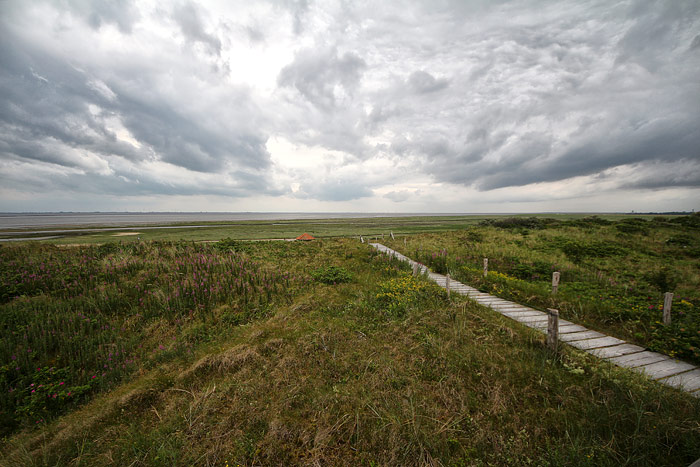 D&uuml;nen&uuml;berwegung Ost I