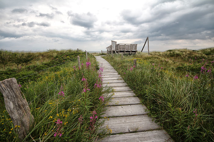 Aussichtsplattform im Osten