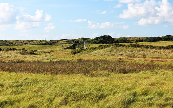 Deichschart im Westgrodendeich