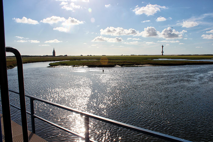 Aalkuhlen im Gegenlicht
