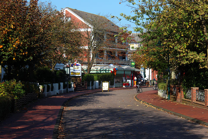 Herbstliche Zedeliusstraße